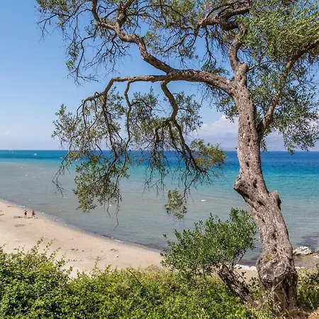 Apartmán Alisachni *