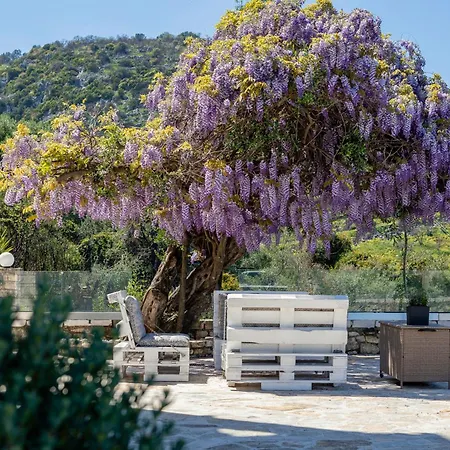 Alisachni アパート *